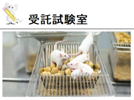 受託試験室